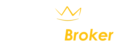 King Broker Asigurari