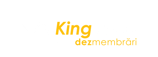 Dezmembrari auto King